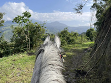 Ecuador-Haciendas-Cloud Forest Getaway Ride